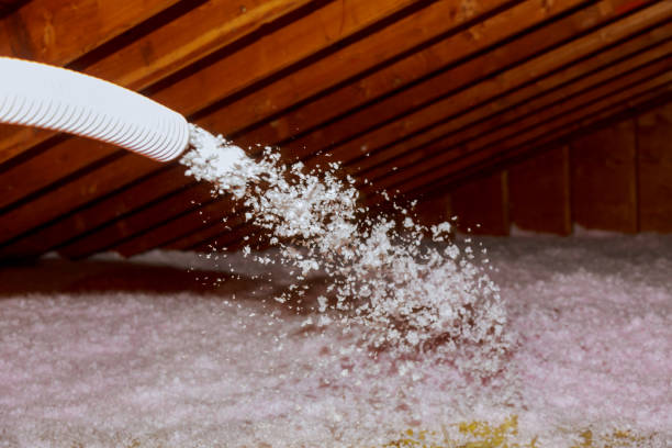 Best Insulation Installation Services in Lido Beach, NY
