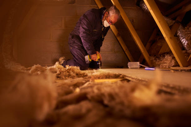 Best Types of Insulation in Lido Beach, NY